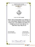 PHÂN TÍCH TÌNH HÌNH tài CHÍNH và các GIẢI PHÁP NHẰM TĂNG CƯỜNG NĂNG lực tài CHÍNH tại CÔNG TY TNHH sản XUẤT xây DỰNG và THƯƠNG mại NHỊ XUÂN 
