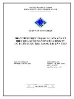PHÂN TÍCH THỰC TRẠNG NGUỒN vốn và HIỆU QUẢ sử DỤNG vốn của CÔNG TY cổ PHẦN dƣợc hậu GIANG tại cần THƠ 
