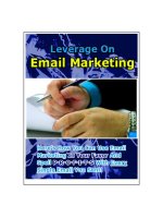 Leverage on email marketing 