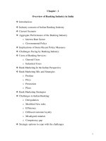 Overview of banking industry in india 