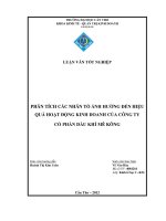 PHÂN TÍCH các NHÂN tố ẢNH HƯỞNG đến HIỆU QUẢ HOẠTĐỘNG KINH DOANH của CÔNG TY cổ PHẦN dầu KHÍ mê KÔNG 