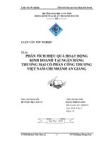 PHÂN TÍCH HIỆU QUẢ HOẠT ĐỘNG KINH DOANH tại NGÂN HÀNG THƯƠNG mại cổ PHẦN CÔNG THƯƠNG VIỆT NAM CHI NHÁNH AN GIANG 