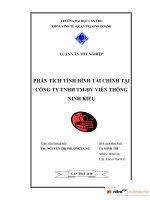 PHÂN TÍCH TÌNH HÌNH tài CHÍNH tại CÔNG TY TRÁCH NHIỆM hữu hạn THƯƠNG mại   DỊCH vụ VIỄN THÔNG NINH KIỀU 