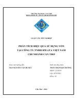 PHÂN TÍCH HIỆU QUẢ sử DỤNG vốn tại CÔNG TY TNHH HWATA VIỆT NAM CHI NHÁNH cần THƠ 