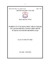 Nghiên cứu ứng dụng phẫu thuật nội soi tái tạo hai bó dây chằng chéo trước sử dụng gân bánh chè đồng loại 