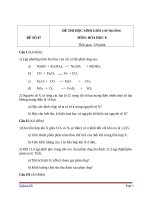 đề và đáp án thi HSG môn Hóa Học lớp 8 cấp Trường