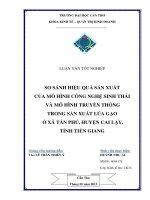 SO SÁNH HIỆU QUẢ sản XUẤT của mô HÌNH CÔNG NGHỆ SINH THÁI và mô HÌNH TRUYỀN THỐNG TRONG sản XUẤT lúa gạo ở xã tân PHÚ, HUYỆN CAI lậy, TỈNH TIỀN GIANG 