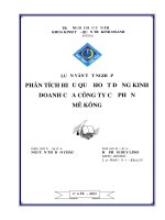 PHÂN TÍCH HIỆU QUẢ HOẠT ĐỘNG KINH DOANH của CÔNGTY cổ PHẦN mê KÔNG 