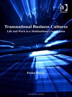 Cross cultural management series 