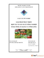 GIẢI PHÁP PHÁT TRIỂN hợp tác xã sản XUẤT NÔNG NGHIỆP ở HAI TỈNH AN GIANG và VĨNH LONG 