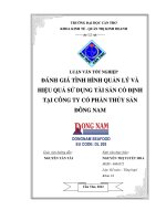 ĐÁNH GIÁ TÌNH HÌNH QUẢN lý và HIỆU QUẢ sử DỤNG tài sản cố ĐỊNH tại CÔNG TY cổ PHẦN THỦY sản ĐÔNG NAM 