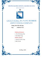 GROUP 7 DA NANG RUBBER JOINT STOCK COMPANY (1)