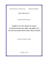 Nghiên cứu mức độ di căn hạch và đánh giá kết quả điều trị triệt căn ung thư đại tràng bằng phẫu thuật nội soi (FULL TEXT)