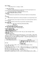 Giáo án văn lớp 8