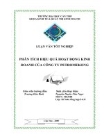 PHÂN TÍCH HIỆU QUẢ HOẠT ĐỘNG KINH DOANH của CÔNG TY PETROMEKONG 