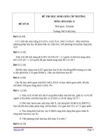 đề và đáp án thi HSG môn Hóa Học lớp 8 cấp Trường