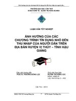 ẢNH HƯỞNG của các CHƯƠNG TRÌNH tín DỤNG NHỎ đến THU NHẬP của NGƯỜI dân TRÊN địa bàn HUYỆN vị THỦY – TỈNH hậu GIANG 