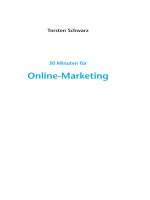 Online marketing 