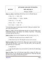 đề và đáp án thi HSG môn Hóa Học lớp 8 cấp Trường