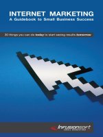 Internet marketing guidebook 