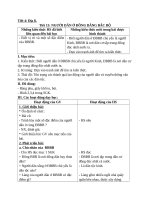 Giáo án địa lý  lớp 4 tiết 8 