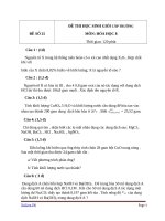 đề và đáp án thi HSG môn Hóa Học lớp 8 cấp Trường