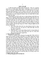 Nghiên cứu giá trị của cộng hưởng từ tưới máu và cộng hưởng từ phổ trong chuẩn đoán một số u thần kinh đệm trên lều ở người lớn (TT)