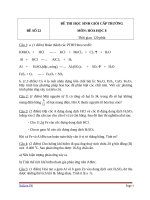 đề và đáp án thi HSG môn Hóa Học lớp 8 cấp Trường