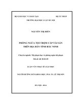 Phòng ngừa tội trộm cắp tài sản trên địa bàn tỉnh bắc ninh  