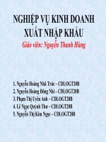 NGHIỆP VỤ KINH DOANH XUẤT NHẬP KHẨU