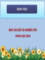 Báo cáo đề tài nghiên cứu khoa học đề tài KHẢO sát sự THAY đổi HUYẾT áp BẰNG HOLTER HUYẾT áp ở BỆNH NHÂN đột QUỴ não TRONG GIAI đoạn cấp điều TRỊ tại KHOA nội TIM MẠCH BỆNH VIỆN