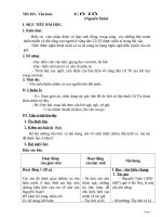 bài giảng và giáo án wort văn bản cô tô