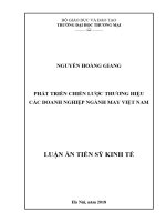 Phát triển chiến lược thương hiệu các doanh nghiệp ngành may việt nam