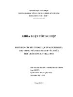PHÁT HIỆN CÁC YẾU TỐ ĐỘC LỰC CỦA ESCHERICHIA COLI TRONG PHÂN HEO SƠ SINH VÀ CAI SỮA TIÊU CHẢY BẰNG KỸ THUẬT PCR