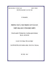 Phòng ngừa tội trộm cắp tài sản trên địa bàn tỉnh điện biên  