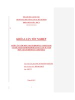 NUÔI CẤY NẤM MEN SACCHAROMYCES CEREVISIAE VÀ THU NHẬN SINH PHẨM BÊTAGLUCAN TỪ NẤM MEN SACCHAROMYCES CEREVISIAE