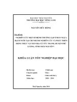 Nghiên cứu một số bệnh thường gặp ở đàn Ngựa bạch nuôi tại Chi nhánh Nghiên cứu và phát triển Động thực vật bản địa xã Tức Tranh, huyện Phú Lương, tỉnh Thái Nguyên (Khóa luận tốt nghiệp)