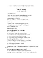 NHÓM CHỦ đề nước và HIỆN TƯỢNG tự NHIÊN