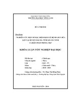 Nghiên cứu một số đặc điểm dịch tễ bệnh giun đũa lợn tại huyện Hải Hà tỉnh Quảng Ninh và biện pháp phòng trị (Khóa luận tốt nghiệp)