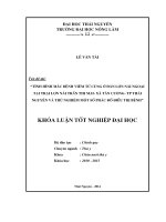 Tình hình mắc bệnh viêm tử cung ở đàn lợn nái ngoại nuôi tại trại lợn nái Trần Thị Mai  xã Tân Cương thành phố Thái Nguyên  và thử nghiệm một số phác đồ điều trị bệnh (Khóa luận tốt nghiệp)