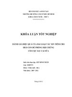 ĐÁNH GIÁ HIỆU QUẢ CỦA HAI LOẠI VẮC XIN TIÊM CHO HEO CON ĐỂ PHÒNG HỘI CHỨNG CÒI CỌC SAU CAI SỮA