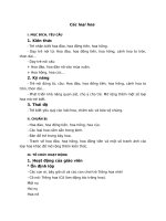 phân biệt các loại hoa