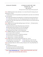 Đề thi thử THPTQG Sở GDĐT Vĩnh Phúc  Lần 1  Đề 1  File word có lời giải chi tiết