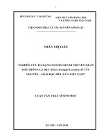 Nghiên cứu đa dạng nguồn gen di truyền quần thể thông lá dẹt (Pinus Krempfii Lecomte) ở Tây Nguyên  loài đặc hữu của Việt Nam (Luận văn thạc sĩ)