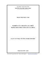 Nghiên cứu chuyển cấu trúc mang gen CODA vào cây cà chua (Luận văn thạc sĩ)