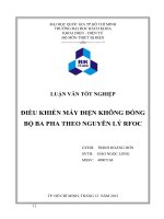 ĐIỀU KHIỂN ĐỘNG CƠ KHÔNG ĐỒNG BỘ BA PHA THEO NGUYÊN lý RFOC