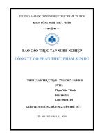 Thực tập nghề nghiệp công ty SunDo