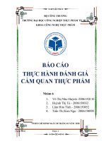 BÁO CÁO ĐÁNH GIÁ CẢM QUAN BÀI 5