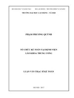 Tổ chức kế toán tại Bệnh viện Lão khoa Trung ương (Luận văn thạc sĩ)
