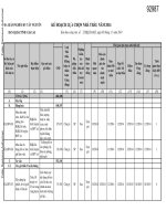Vietnam   central highlands poverty reduction project  procurement plan (vietnamese) 
